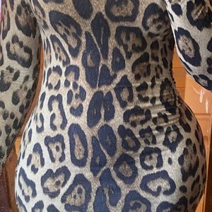 Long sleeve leopard Print Dress.